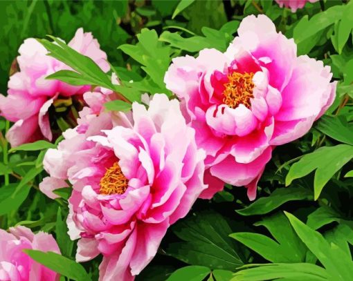 Common Peony Diamond Painting