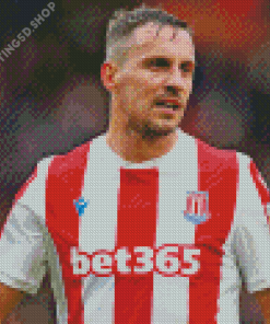 Phil Jagielka Stoke Diamond Paintings