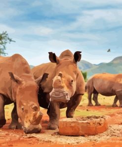 Rhinos Kruger Park South Africa Diamond Painting