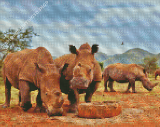 Rhinos Kruger Park South Africa Diamond Paintings