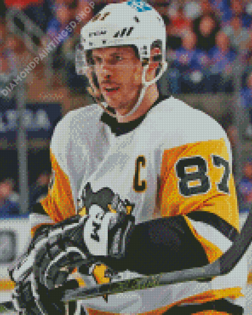 Sidney Crosby Diamond Paintings