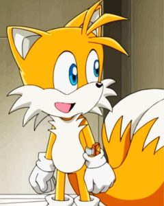 Tails From Sonic Diamond Painting