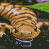 Tiger Salamander Diamond Paintings