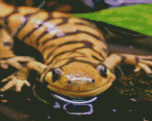 Tiger Salamander Diamond Paintings