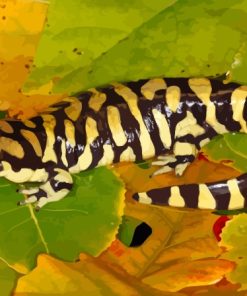 Tiger Salamander Amphibian Diamond Painting