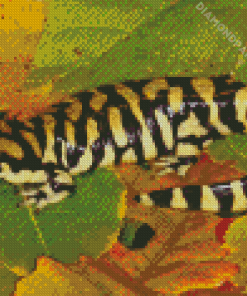 Tiger Salamander Amphibian Diamond Paintings