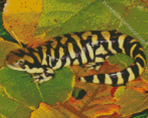 Tiger Salamander Amphibian Diamond Paintings