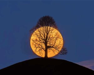 Tree Night Moon Diamond Painting