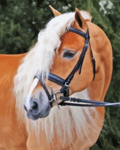 Wild Haflinger Horse Diamond Painting