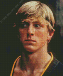 Young Johnny Lawrence Diamond Paintings