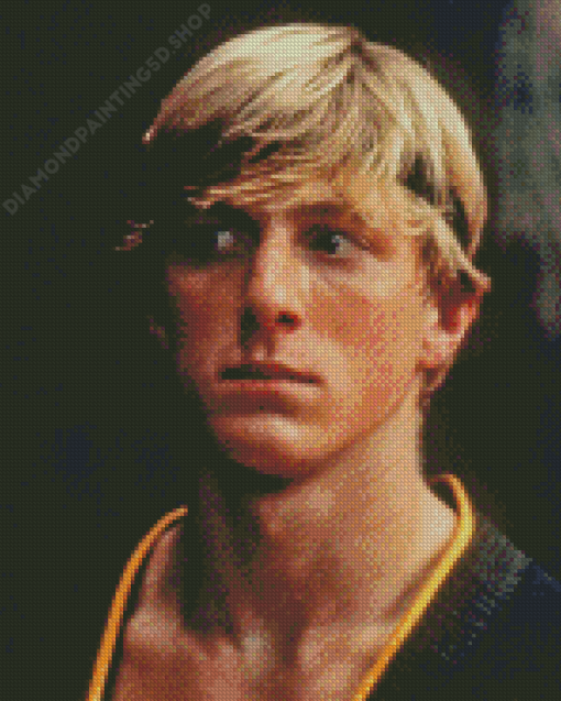 Young Johnny Lawrence Diamond Paintings