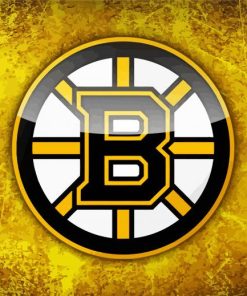 Boston Bruins Ice Hockey Logo Diamond Painting
