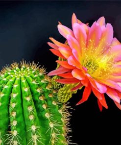 Cactus Flower Diamond Painting