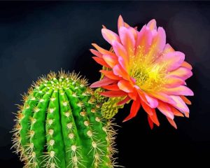 Cactus Flower Diamond Painting