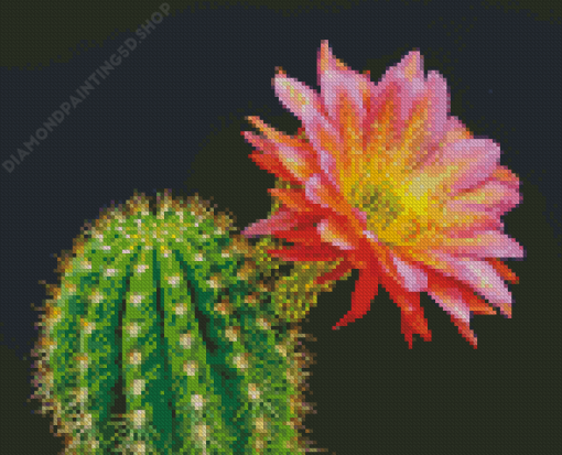 Cactus Flower Diamond Paintings