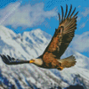 Flying Bald Eagle Diamond Paintings