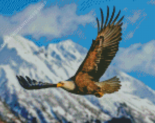 Flying Bald Eagle Diamond Paintings