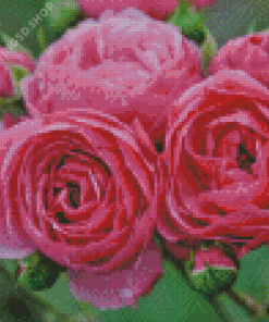 Pomponella Fairy Tale Roses Diamond Paintings