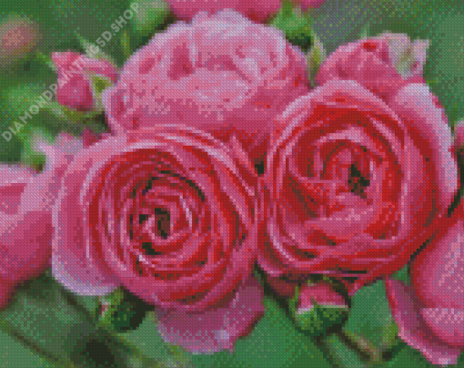 Pomponella Fairy Tale Roses Diamond Paintings