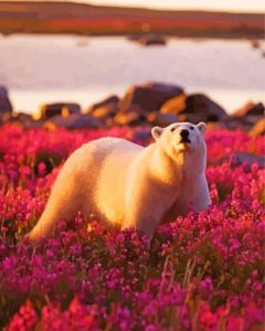 White Bear Flower Field Diamond Painting