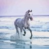 White Horse On Beach Diamond Painting