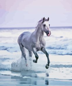 White Horse On Beach Diamond Painting