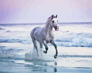 White Horse On Beach Diamond Painting