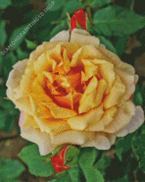 Yellow Fairy Tale Rose Diamond Paintings