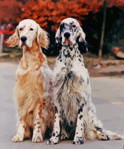 Black And Beige English Setter Dogs Diamond Painting