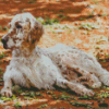 English Setter Sitting Diamond Painting