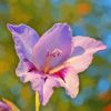 Purple Gladiolus Plant Diamond Painting