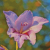 Purple Gladiolus Plant Diamond Painting