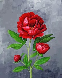 Red Peonies Diamond Painting