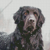 Black Golden Retriever In Snow Diamond Painting