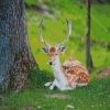 Resting Deer Animal Diamond Painting