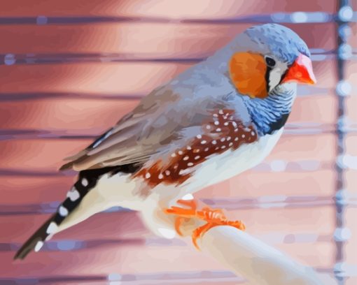 Zebra Finch Bird Diamond Painting