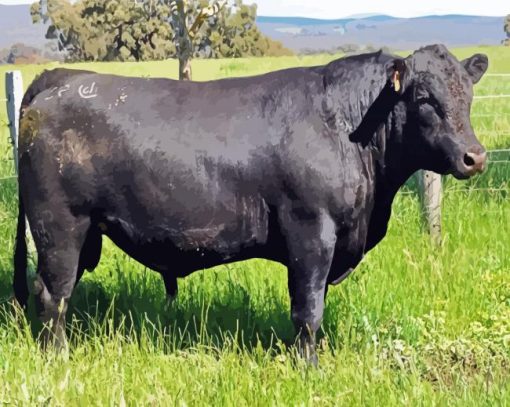 Aberdeen Angus diamond painting