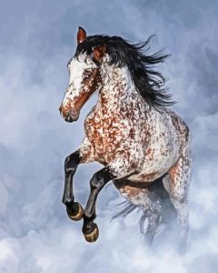 Appaloosa Horse In The Smoke Diamond Painting