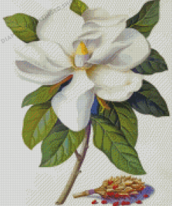 Magnolia White Flower Diamond Painting