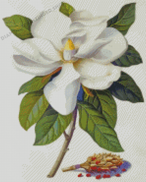 Magnolia White Flower Diamond Painting