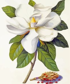 Magnolia White Flower Diamond Painting