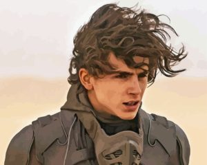 Timothee Chalamet Dune Diamond Painting