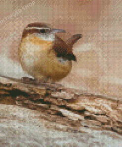 Carolina Bird Diamond Painting