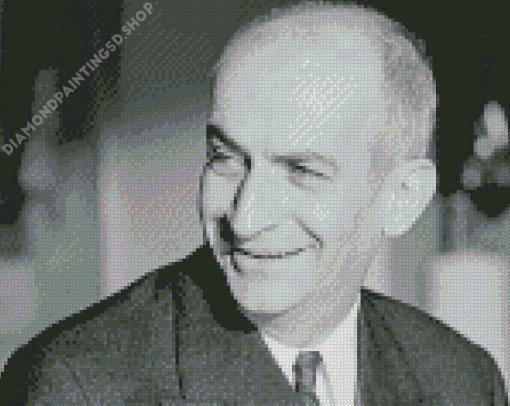 Black And White Louis De Funes Diamond Painting