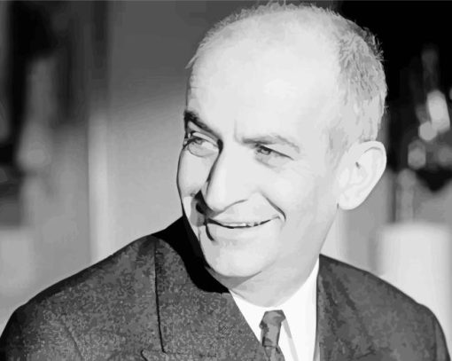 Black And White Louis De Funes Diamond Painting