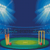 Cricket Stadium Illustration Diamond Painting