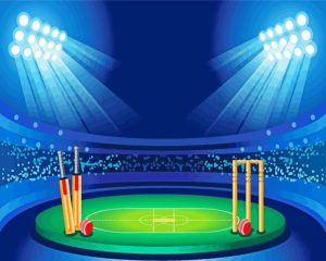 Cricket Stadium Illustration Diamond Painting