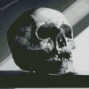 Decay Skull Dark Diamond Painting