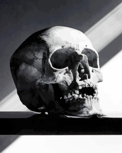 Decay Skull Dark Diamond Painting
