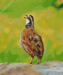 Bobwhite Quail Bird Singing Diamond Painting